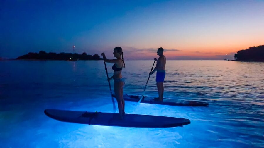 1.5-hour Clear Kayak Rental: Discover the Underwater World - Booking Details Worth Knowing