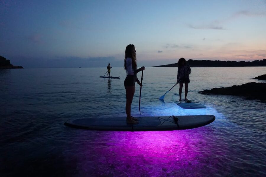 1.5-hour Clear Kayak Rental: Discover the Underwater World - Safety, Weather, and Physical Demands