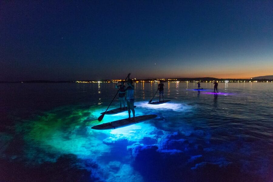 1.5-hour Clear Kayak Rental: Discover the Underwater World - Who Will Enjoy This Most?