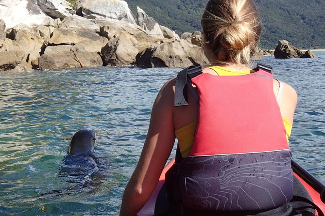 1 Day Sea Kayak Rental - Offshore islands, seals, and native birdsong