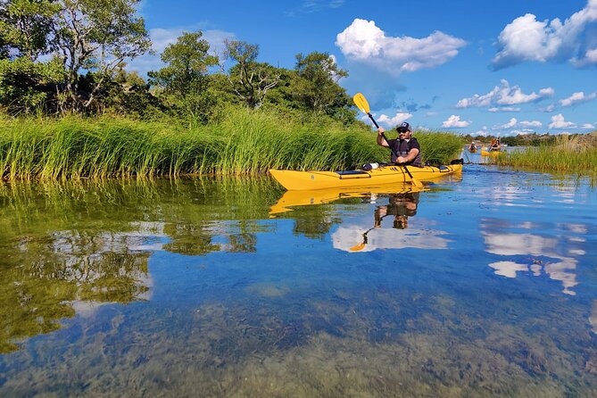 1-Day Small-Group Stockholm Archipelago Kayak Tour - Weather, Clothing, and Physical Effort