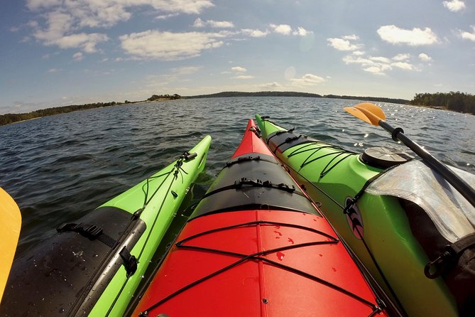 1-Day Small-Group Stockholm Archipelago Kayak Tour - Who Will Enjoy This Most