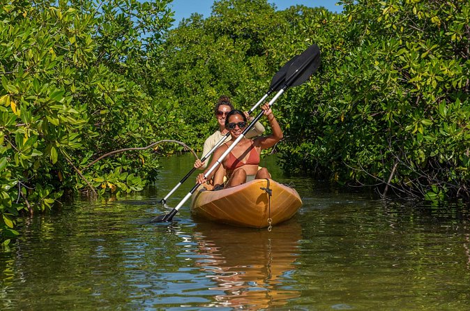 1 Hour Mangrove Kayak Tour - The nature fee and what your $40 covers