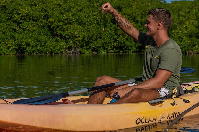 1 Hour Mangrove Kayak Tour - Who will enjoy this short adventure