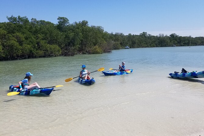 2.5-Hour Guided Group Kayak Tour on Big Hickory Pass - How the guides shape the outing
