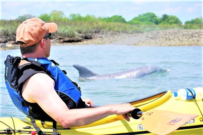 2-Hour Guided Kayak Eco Tour in Charleston - Key points at a glance
