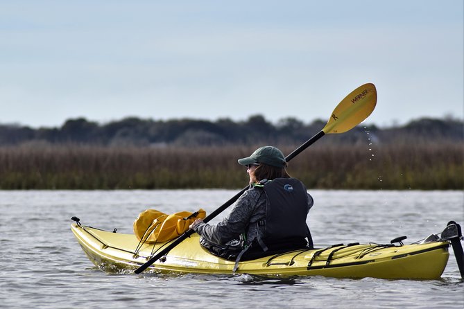 2-Hour Guided Kayak Eco Tour in Charleston - Why this Charleston kayak tour is worth your morning or afternoon