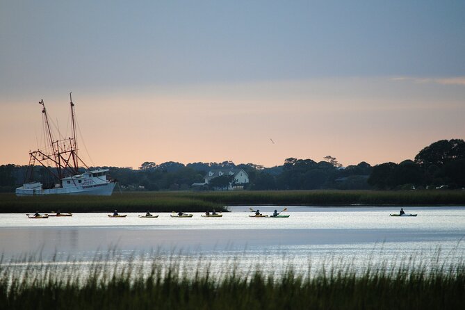 2-Hour Guided Kayak Eco Tour in Charleston - What you might see in two hours