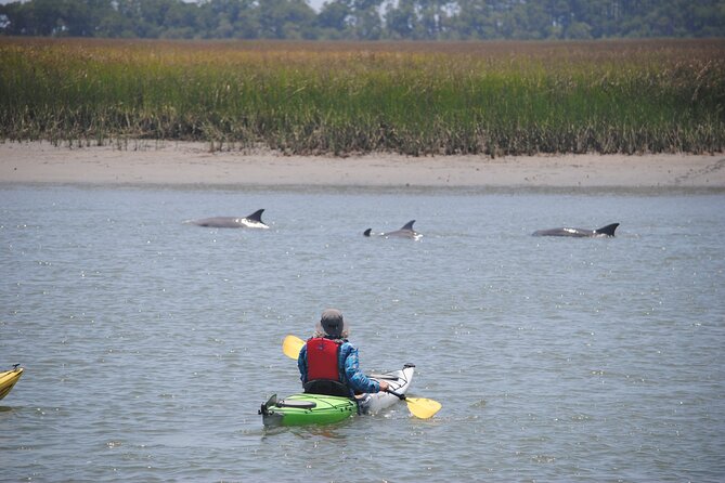 2-Hour Guided Kayak Eco Tour in Charleston - The guide makes the difference