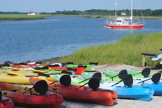2-Hour Guided Kayak Eco Tour in Charleston - Who should book this experience?