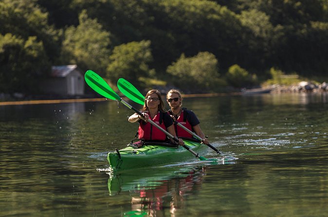 2-Hour Guided Kayak Experience in Geiranger - Price, equipment, and overall value