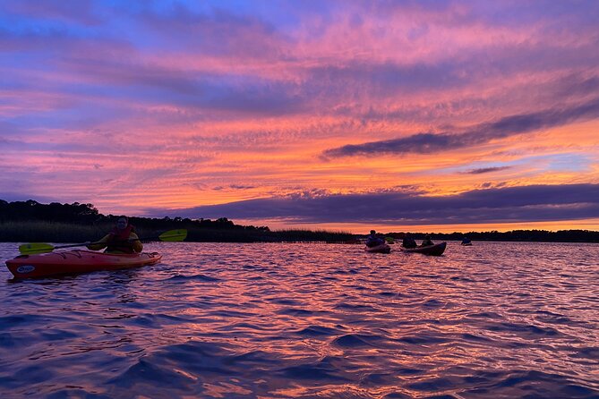 2-Hour Hilton Head Guided Kayak Nature Tour - Dolphins, manatees, and the luck factor