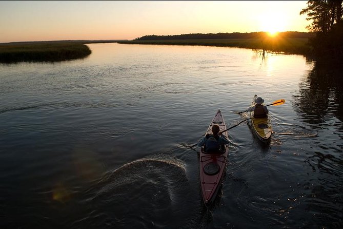2-Hour Hilton Head Guided Kayak Nature Tour - How hard is the two-hour paddle?