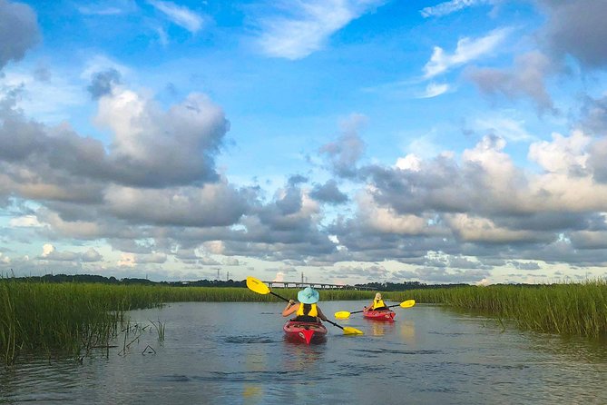 2-Hour Hilton Head Guided Kayak Nature Tour - What makes the salt marsh worth seeing