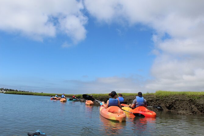 2-Hour Kayak Rental in Cape May per person - Safety on calm water