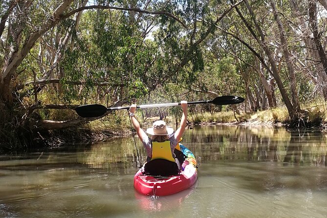 2-Hour Kayaking Experience in Barossa Valley - Why Warren Reservoir makes a good change from cellar doors