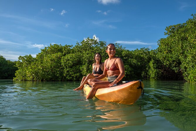 2 Hour Mangrove Kayak and Snorkel Tour - Key points at a glance