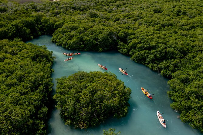 2 Hour Mangrove Kayak and Snorkel Tour - Why Lac Bay is the right place for this tour