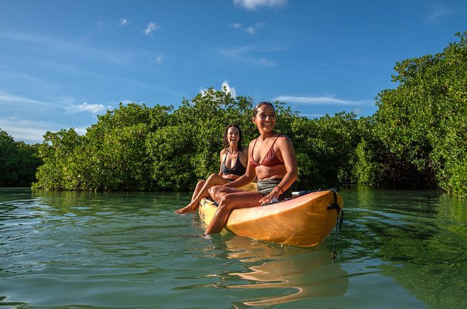 2 Hour Mangrove Kayak and Snorkel Tour - Is the two-hour version worth choosing?