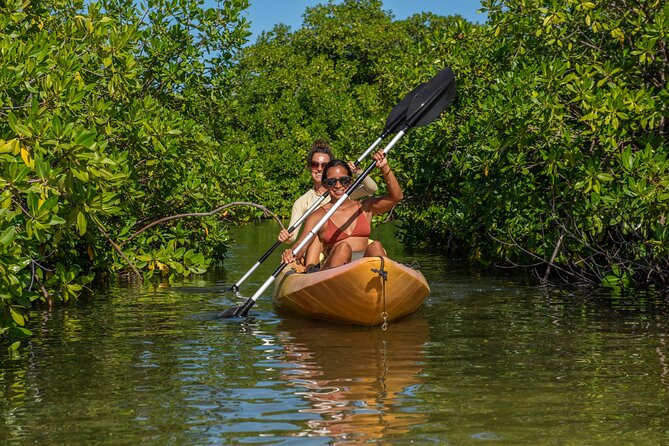 2 Hour Mangrove Kayak and Snorkel Tour - Practical advice before you go