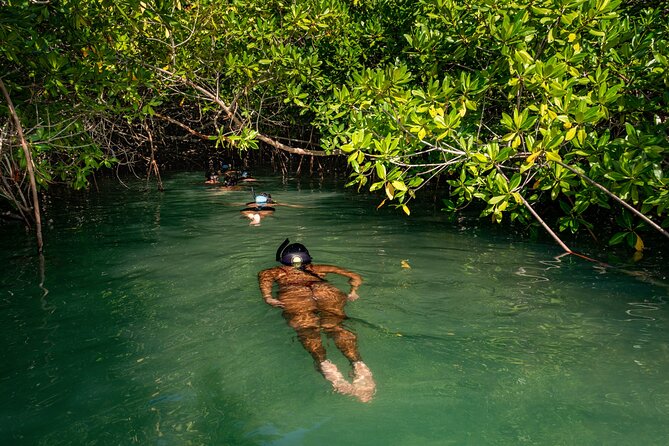 2 Hour Mangrove Kayak and Snorkel Tour - Starting at 140 Kaminda Lac in Kralendijk