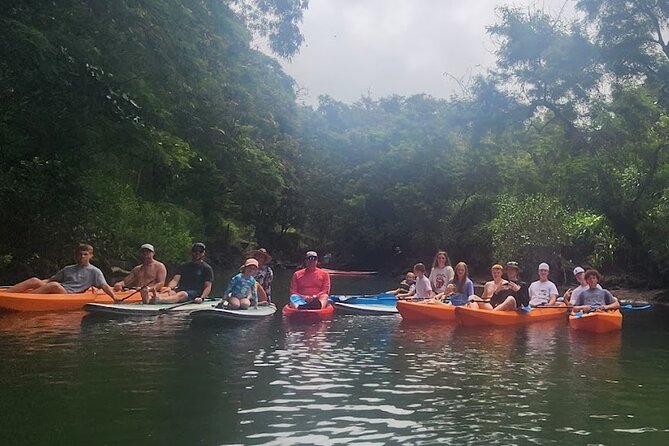 2 hour tandem kayak rental at our private launch area in Hale'iwa - Starting beside the bridge in Haleiwa