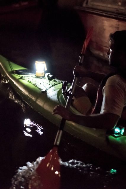 2hr Night Kayak Tour in Venice: premium tour with sunset - Key points to know before booking