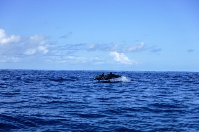 3.5 Hour Kailua-Kona Ocean Kayak and Snorkel Tour - Who will enjoy this Kona adventure most?