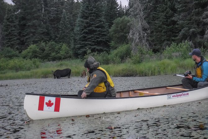 3 Day Algonquin Park Canoe Trip - Moose & Beaver Safari - Key points before you reserve