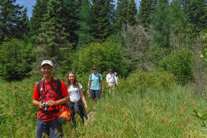 3 Day Algonquin Park Canoe Trip - Moose & Beaver Safari - Who should book this Algonquin canoe trip?