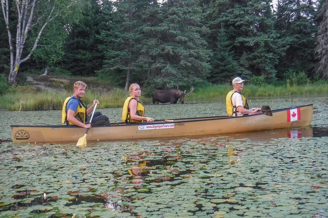 3 Day Algonquin Park Canoe Trip - Moose & Beaver Safari - Camp life, food, and the small comforts