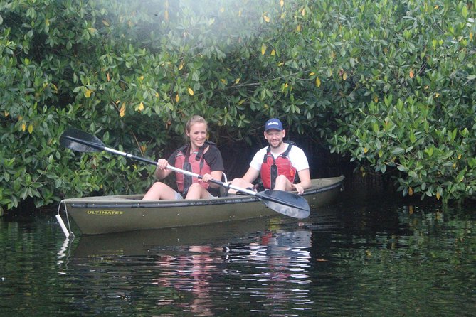3 Hour Guided Mangrove Tunnel Kayak Eco Tour - Reaching the Everglades from Everglades City