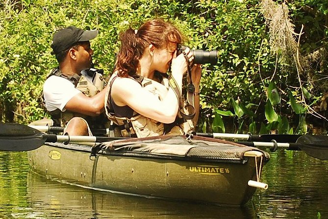 3 Hour Guided Mangrove Tunnel Kayak Eco Tour - From open lake to mangrove canopy