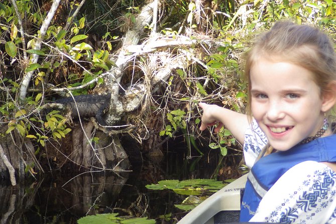 3 Hour Guided Mangrove Tunnel Kayak Eco Tour - Three hours at a relaxed pace