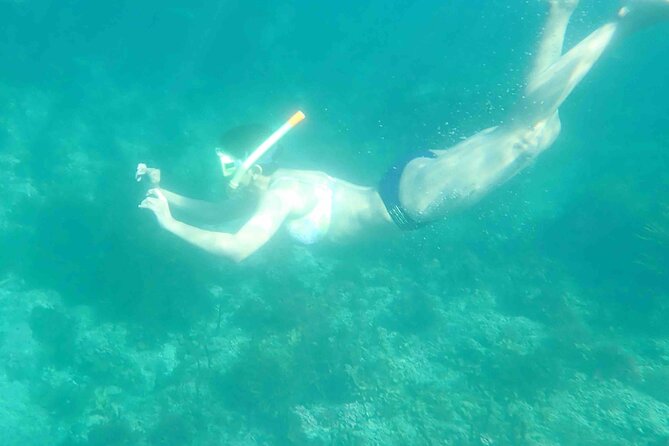 3-Hour Kayak and Snorkeling Experience in Batemans Bay - Up to 40 minutes of snorkeling