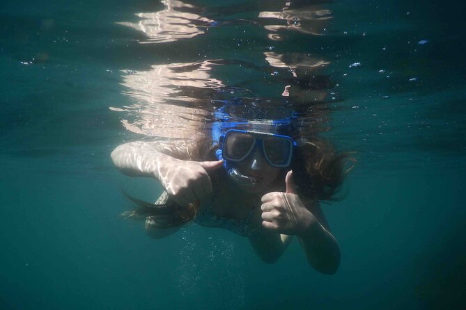 3-Hour Kayak and Snorkeling Experience in Batemans Bay - Morning tea and the return to the meeting point