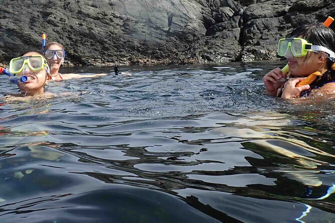 3-Hour Kayak and Snorkeling Experience in Batemans Bay - Price and value at $114.04 per person