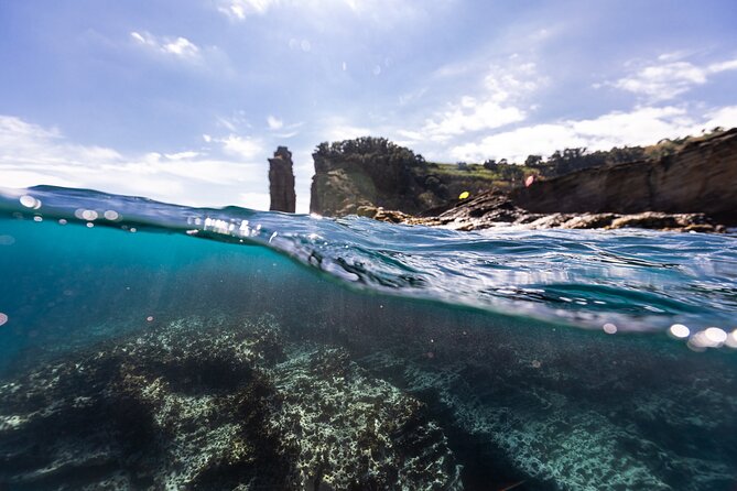 3 Hour Kayak Guided Tour in Islet of Vila Franca Do Campo - Why the Vila Franca do Campo Islet is worth seeing by kayak