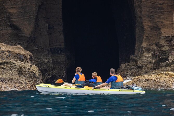 3 Hour Kayak Guided Tour in Islet of Vila Franca Do Campo - Swimming, snorkeling, and nature rules