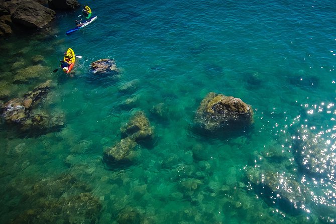 3 Hour of Sea Kayak Trip in the Creeks of Sete - Starting at KayakMed on Le Môle Saint-Louis