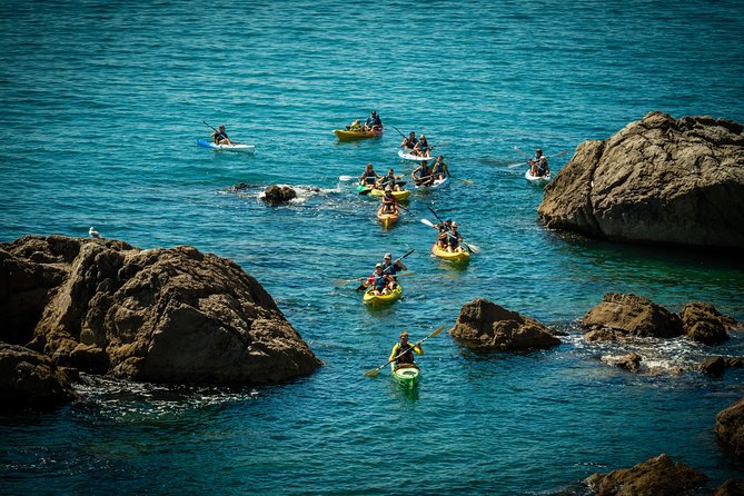 3 Hour of Sea Kayak Trip in the Creeks of Sete - Guides who make the difference