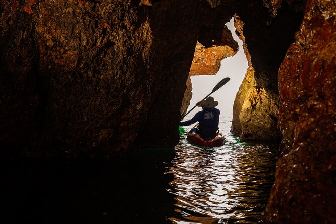 3 Hour of Sea Kayak Trip in the Creeks of Sete - Is $60.49 a fair price?
