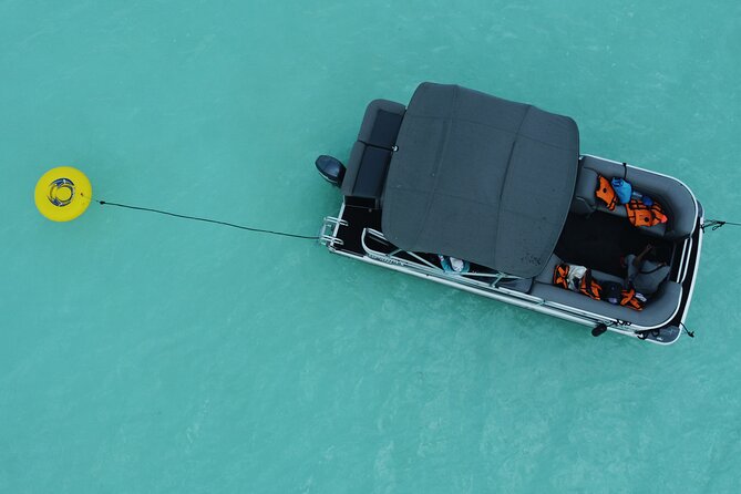 3 hr Pontoon Tour with access to Beach Club and Free Kayaks - Why this Bacalar boat ride is worth considering