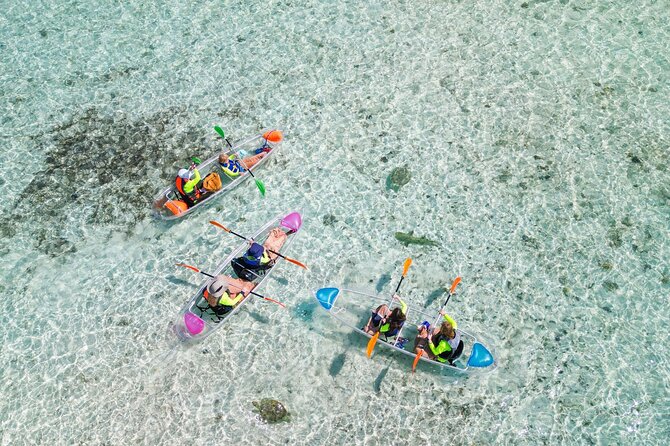 3HR Clear Kayak Mangrove and iguana island Tour in Leeward - Key points at a glance