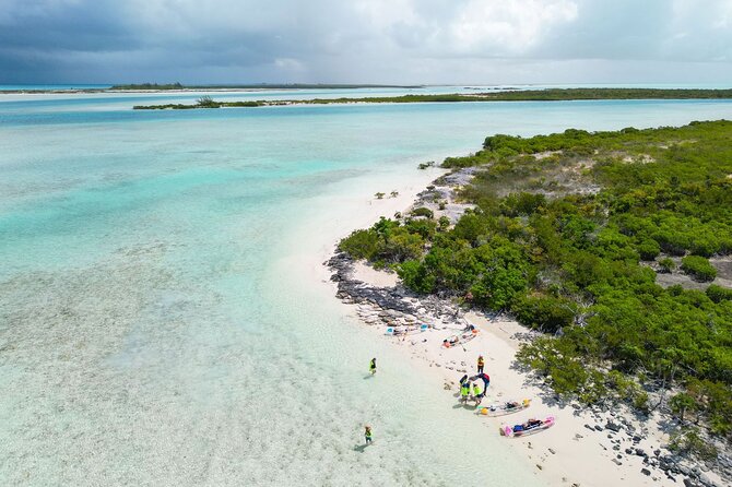 3HR Clear Kayak Mangrove and iguana island Tour in Leeward - Is $155 per person fair?