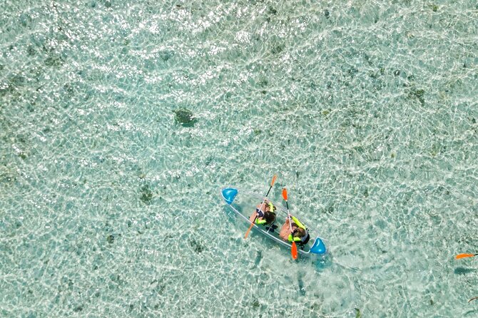 3HR Clear Kayak Mangrove and iguana island Tour in Leeward - Practical advice before you go