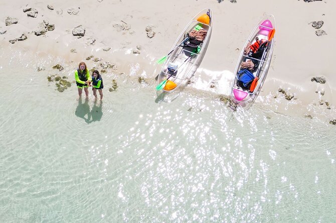3HR Clear Kayak Mangrove and iguana island Tour in Leeward - Tide and wind can change the mangrove visit