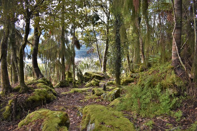 4-hour Lake Mapourika Kayak and Hike adventure, with Okarito Kiwi Sanctuary - Who should choose this tour?