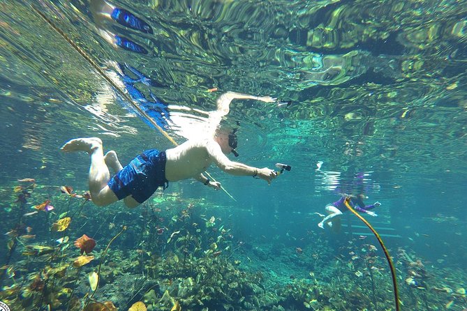 4 Private Cenotes, Zip-Lines, Canoes & Mayan Village with Delicious Lunch - Who Will Enjoy This Best