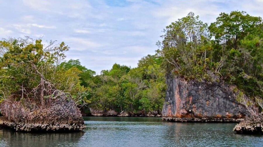 4in1: Los Haitises+ Kayaking+ Natural Pools+ Montana Redonda - Is $145 a fair price?